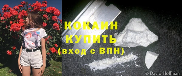 2c-b Белокуриха